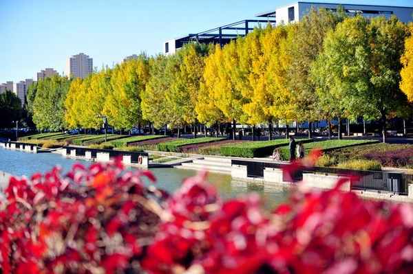 天津财经大学吧;天津财经大学吧 百度贴吧