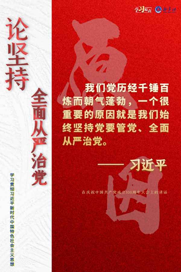 全面從嚴治黨討論發言材料 服務,個人落實全面從嚴治黨的匯報材料