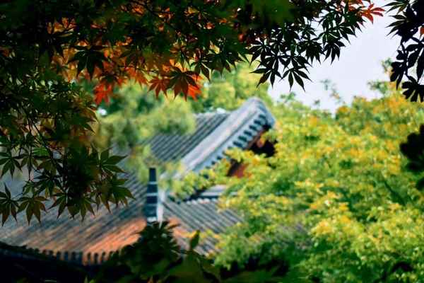 货殖列传经典名句100句_货殖列传 经典名言