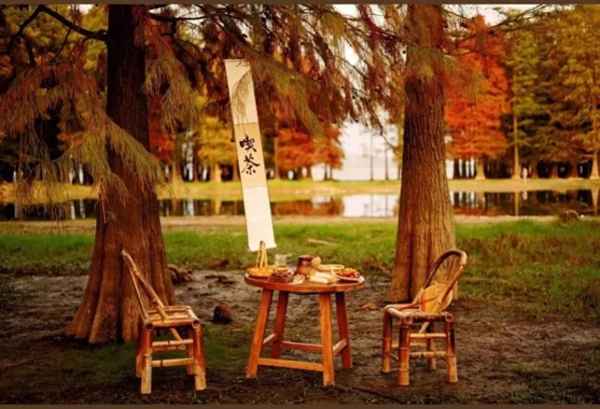 粮食股票有哪些,粮食股票最全一览_粮食股票有哪些龙头股