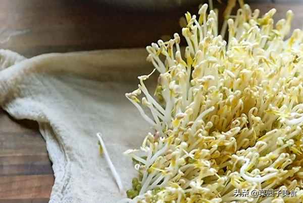 自做豆芽方法過(guò)程-自做豆芽方法過(guò)程視頻