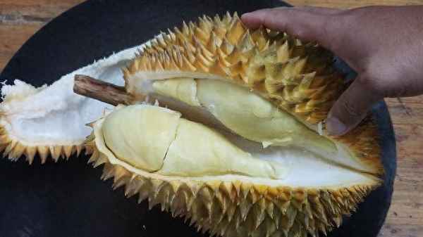 榴蓮燉雞的營養價值_榴蓮燉雞的營養價值高嗎