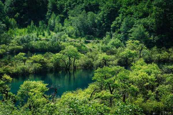 九寨沟住宿最佳地点(去九寨沟住什么酒店方便)