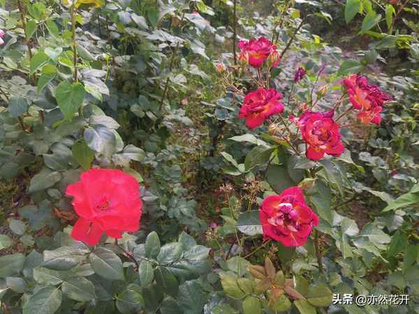 风景依旧在人已非少年是什么意思—风景仍在,人却已非是什么意思