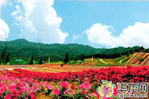 石柱到云中花都怎么坐車_石柱縣云中花都好玩嗎