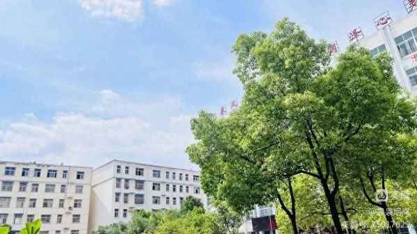 师者如舟千里不殆什么意思;师者如光微以致远的意思