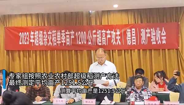 中国种植最多的杂交水稻品种_中国种植最多的杂交水稻品种是