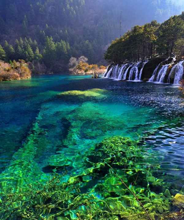 九寨溝有哪些美景(九寨溝有哪些美景并介紹作文)