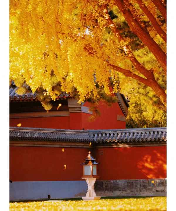 帶孩子去北京必去的地方,北京一日游建議去哪