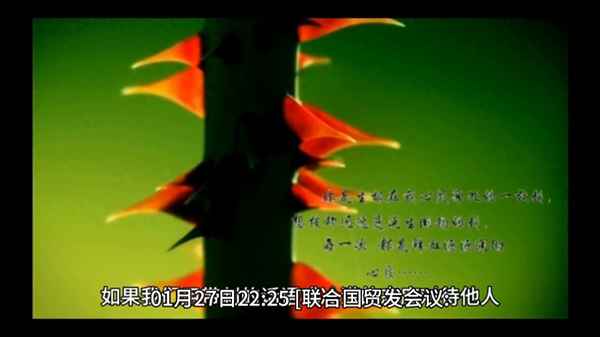 新浪财经7x24(新浪财经7x24是什么意思)