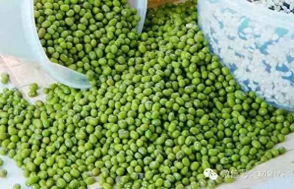 小米湯怎么做綠豆、小米綠豆湯有什么功效