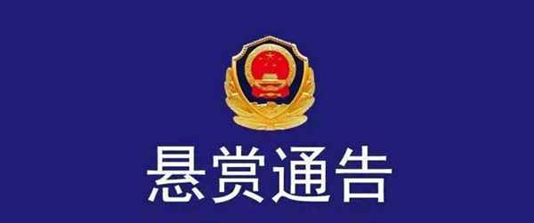 煙臺通緝犯罪嫌疑人;煙臺通緝令