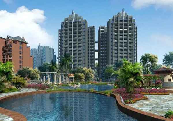 房产专家;房产专家图片