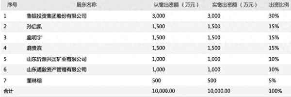 鲁银投资(600784)股吧_鲁银投资股票行情走势