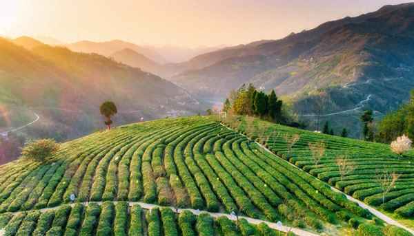 我问青山何日老原文正确-我问青山何日老全诗作者