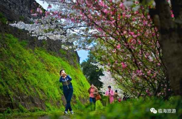 临海20个景区免费-临海附近一日游最佳景点