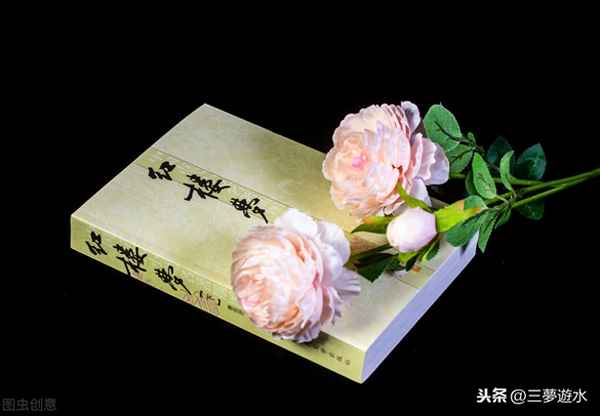 红楼梦中的门子角色介绍—红楼梦中的主要女角色