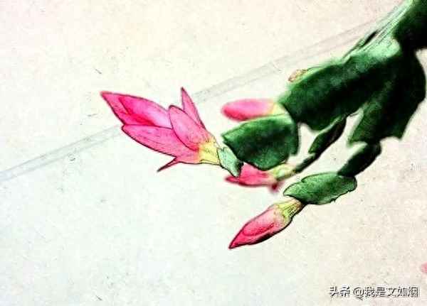 人生不求如初见,只愿相看两不厌,人生不求如初见,只愿相看两不厌歌词