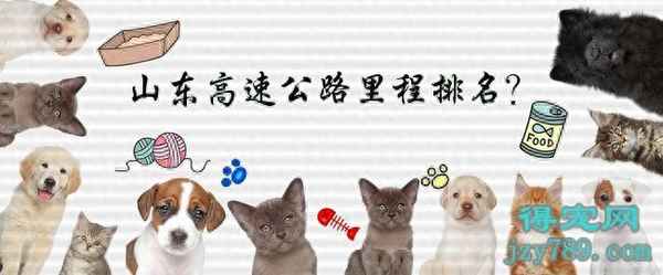 新疆高速多少錢一公里收費,新疆高速路費多少錢一公里