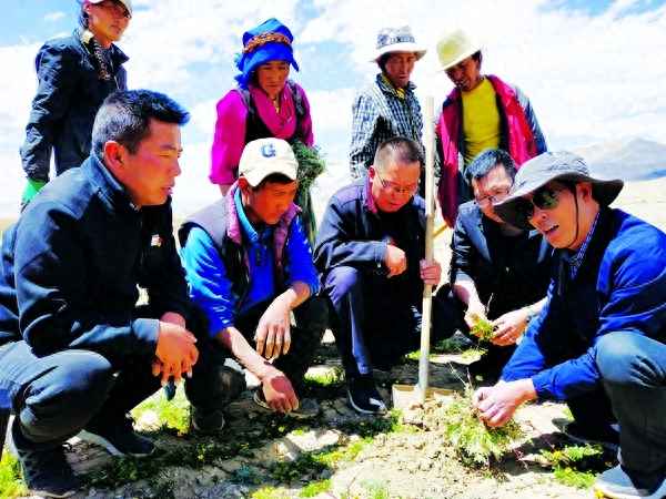重慶第十批援藏李杰簡介、重慶市第十批援藏