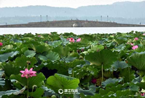 杭州G20峰會歡迎詞-g20杭州峰會歡迎儀式