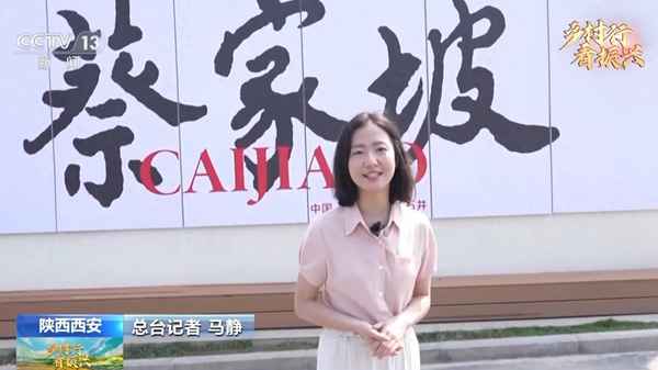麥田美術(shù)教育;麥田課堂聯(lián)系方式