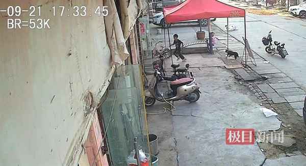 被小区居民的狗咬伤-被小区狗咬了怎么赔偿