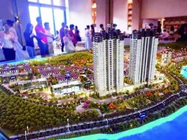 厦门房产局,厦门房产局局长