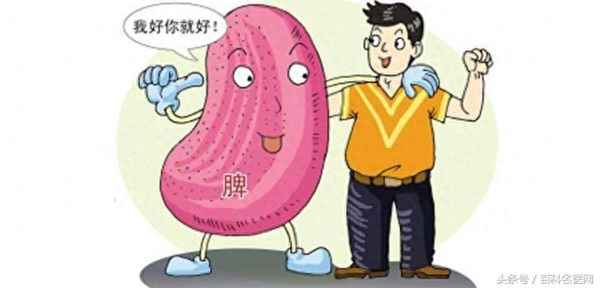 豬肚加小茴香燉治胃病-豬肚加小茴香燉治胃病效果好嗎