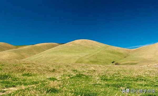 惠崇春江晓景二首的翻译—《惠崇春江晓景二首》