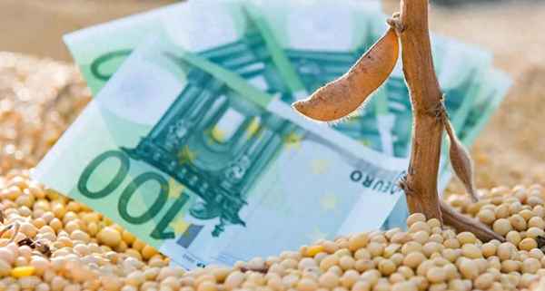 粮食迎上涨潮-大米涨价40%-粮食大米会涨价吗