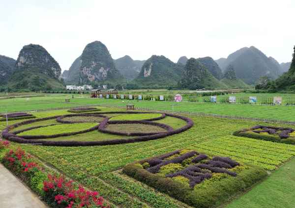 那文化;那文化属于广西民族特色文化吗