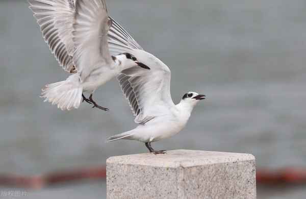 宜居房产(宜居房产中介)