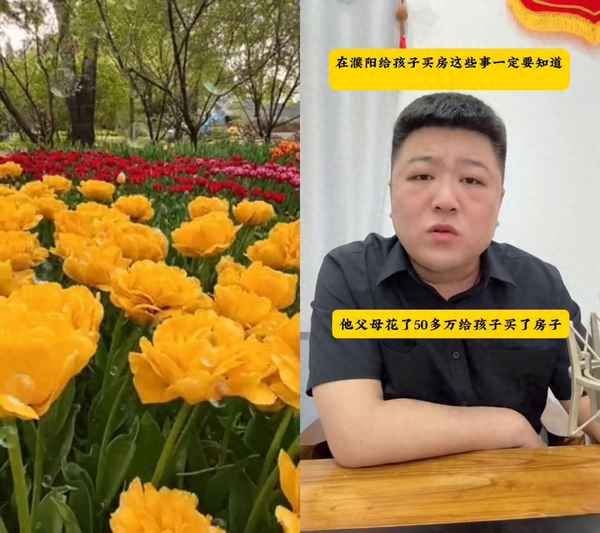 濮陽房產證;濮陽房產證辦理流程及費用