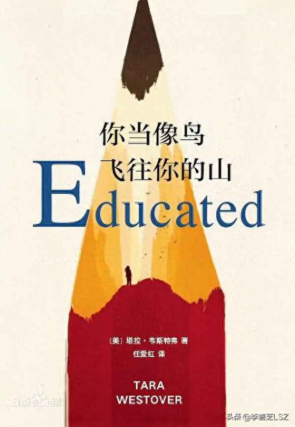 你當像鳥飛往你的山讀后感_你當像鳥飛往你的山讀后感500字