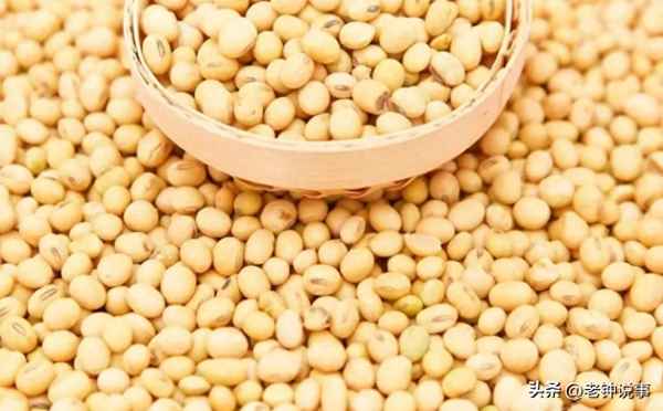 2023黄豆多少钱一吨—2023黄豆几元一斤