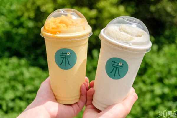 開一家茉酸奶要多少錢_茉酸奶加盟費多少錢