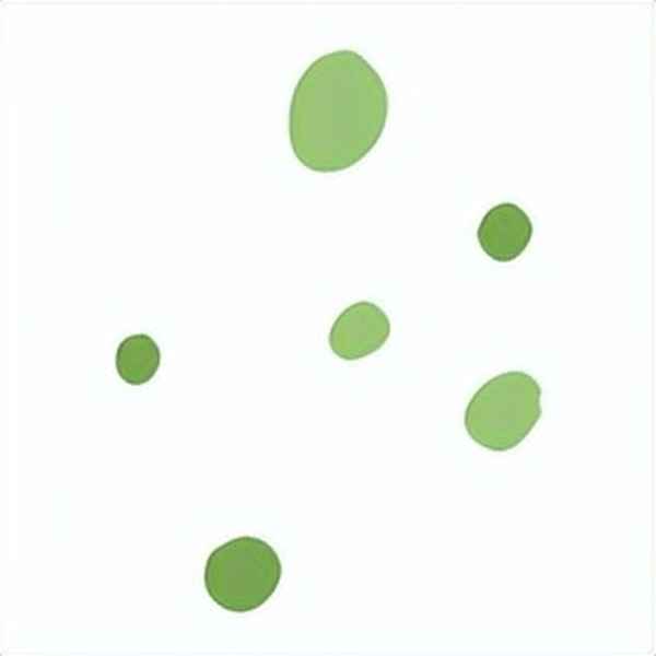 夏天的公園日記200字_夏天的公園作文100字作文