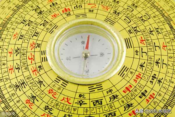 支原體的克星中草藥-中藥治療支原體的特效藥