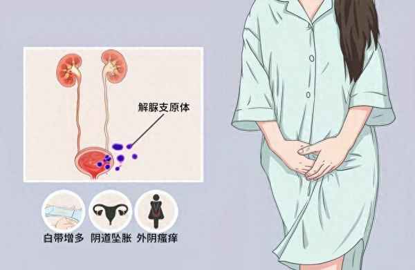 支原體會(huì)自動(dòng)轉(zhuǎn)陰嗎_支原體會(huì)自動(dòng)轉(zhuǎn)陰嗎女性