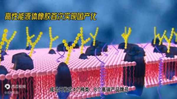 高性能輪胎和普通輪胎的區(qū)別、性能輪胎和普通輪胎有什么區(qū)別
