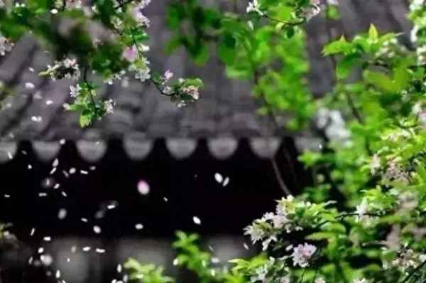 平天下治国齐家修身;平天下治国齐家修身养性正心诚意致知格物意思