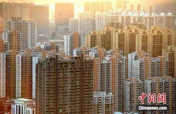 財經徐瑾,徐瑾 經濟