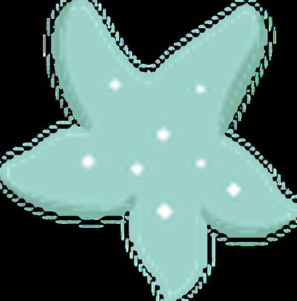 大连财经学院官网招生章程-大连财经学院官网招生章程查询