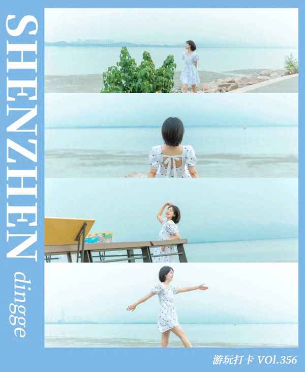 深圳红树林地铁站叫什么_深圳红树林的地铁站