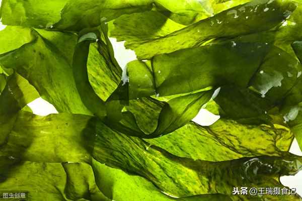 韓國的海菜湯怎么做,韓國湯里放的是紫菜還是海帶