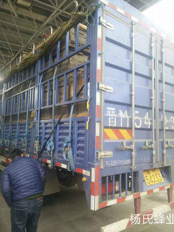 遇到打农药蜜蜂怎么管理,要打农药蜜蜂可以关起养吗