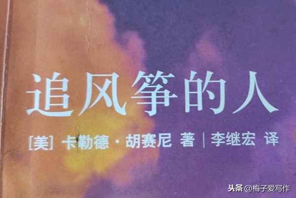 追風箏的人收獲與啟示;追風箏的人的感悟啟發(fā)五十字