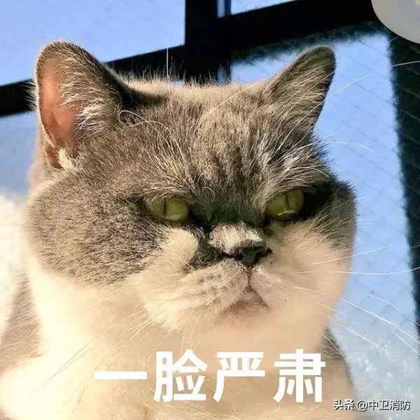 李某某恶意拨打报警电话(恶意拨打110属于什么行为)