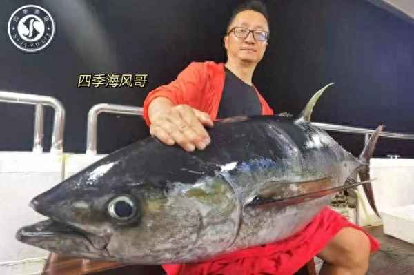 西沙濕地的住宿優(yōu)勢(shì);西沙濕地要門票嗎